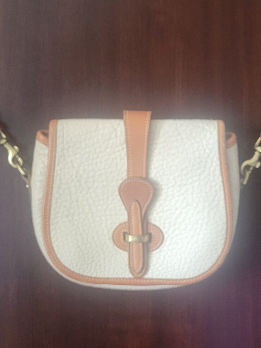 Vintage Dooney & Bourke Crossbody Bag